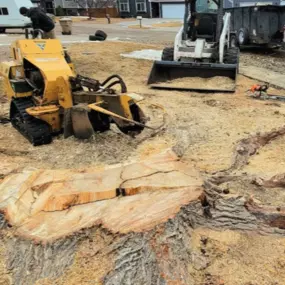 Stump Grinding Rapid City, SD