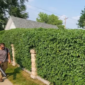 Bush & Hedge Trimming Rapid City, SD