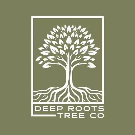 Logo from Deep Roots Tree Co.