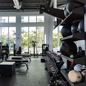 Bild von South Florida Physical Therapy and Sports Rehab