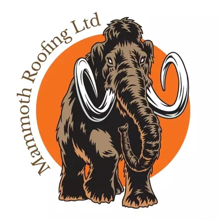 Λογότυπο από Mammoth Roofing Ltd.