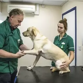 Bild von Shepherds' Vet Centre