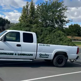 Bild von Quality Greens Lawncare and Landscaping