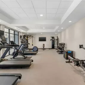Health club  fitness center  gym