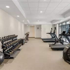Health club  fitness center  gym