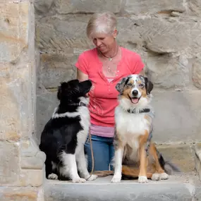 Bild von Manu´s Hundeschule auch für schwierige Hunde