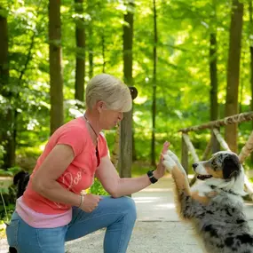 Bild von Manu´s Hundeschule auch für schwierige Hunde