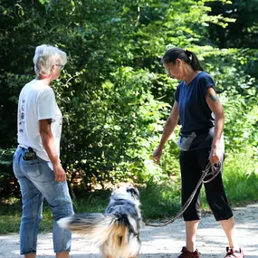 Bild von Manu´s Hundeschule auch für schwierige Hunde