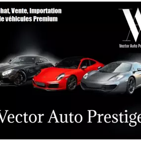 Bild von Vector Auto Prestige