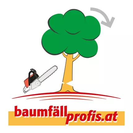 Logo de Baumfällprofis