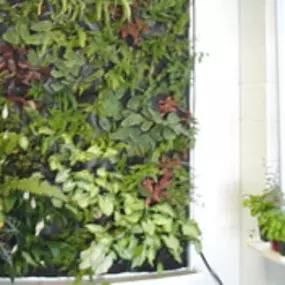 Bild von Urban Organics Hydroponics