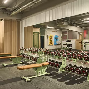 Bild von McFIT Fitnessstudio Köln-Altstadt