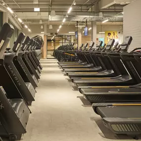 Bild von McFIT Fitnessstudio Köln-Altstadt