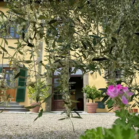 Bild von Villa Rigacci Hotel