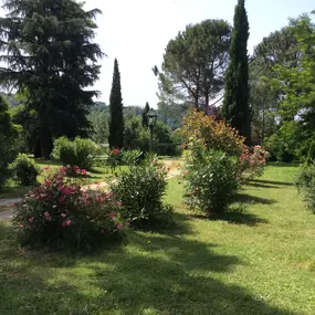 Bild von Villa Rigacci Hotel