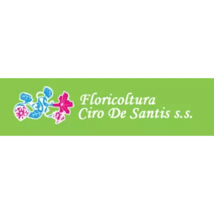 Logótipo de Floricoltura Ciro De Santis S.S. Societa' Agricola