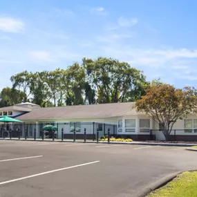 Bild von Primrose School of Sudbury