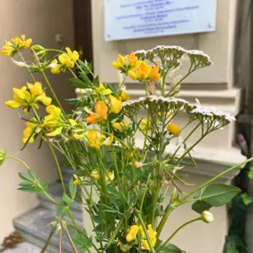 Ein stilvoll arrangierter gelb-weißer Blumenstrauß sorgt für eine freundliche und harmonische Dekoration in der Osteopathie-Praxis am Schloss Bonn.