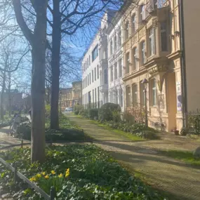 Eine malerische Straße mit historischen Gebäuden, umgeben von blühender Frühlingsvegetation, in der Nähe der Osteopathie-Praxis am Schloss Bonn.