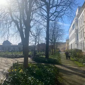 Ein idyllischer Parkweg, gesäumt von Bäumen und angrenzenden Gebäuden, lädt zur Entspannung in der Nähe der Osteopathie-Praxis am Schloss Bonn ein.