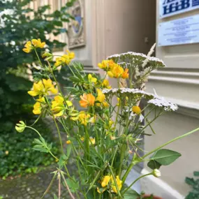 Ein bunter Blumenstrauß steht vor dem stilvollen Gebäude der Osteopathie-Praxis am Schloss Bonn und vermittelt eine einladende Atmosphäre.