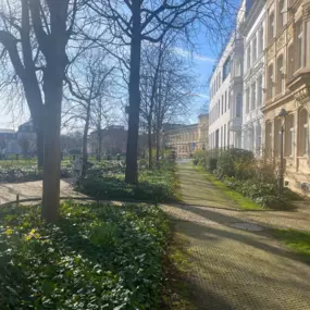 Ein ruhiger Parkweg mit umliegenden Gebäuden und schattenspendenden Bäumen schafft eine erholsame Umgebung nahe der Osteopathie-Praxis am Schloss Bonn.