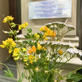 Ein gelb-weißer Blumenstrauß verleiht der Osteopathie-Praxis am Schloss Bonn eine einladende und frische Atmosphäre.