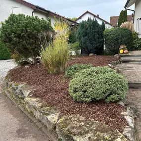 Bild von MEFA Garten- & Baumpflege
