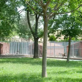 residencia-canina_la_yosa.jpg