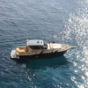 Bild von Capri Boat Rental