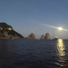 Bild von Capri Boat Rental