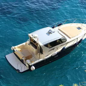 Bild von Capri Boat Rental