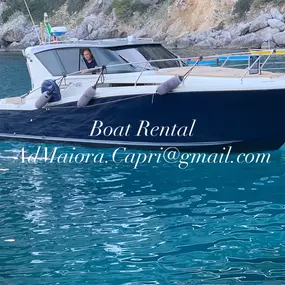 Bild von Capri Boat Rental