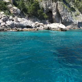 Bild von Capri Boat Rental