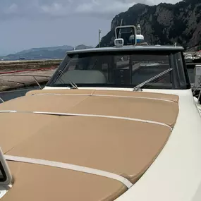 Bild von Capri Boat Rental