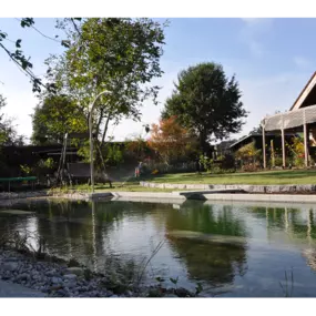 Schwimmteich & Gartengestaltung Matheis KG - Schauteich in Würmla