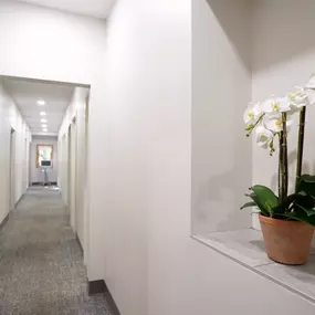 Located in Boulder, CO, North Boulder Dental is your go-to destination for all your dental needs. Our experienced team of professionals is ready to provide top-notch care, whether you need routine check-ups or specialized treatments like dental implants, crowns, or root canals. As a trusted cosmetic dentist in the area, we are dedicated to enhancing your smile and overall dental health.

North Boulder Dental is committed to delivering exceptional dentistry solutions tailored to meet your individ