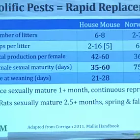 Bild von Rite Size Pest Control and Moss Removal