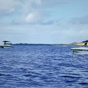 Bild von Maui Boating