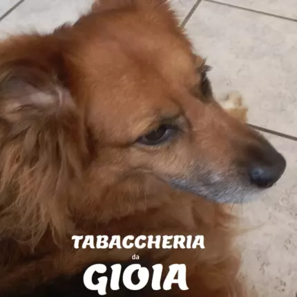 Logo van Tabaccheria da Gioia di Monica Orlando