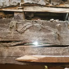 Bild von CPM Joinery & Timber Preservation