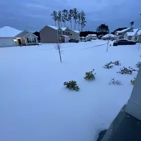 It’s a Lowcountry Snow Day. We’re going to enjoy today with our kids playing in the snow. If you need anything call the office, Customer Care Center is monitoring the phones. Have fun, be safe, stay warm!