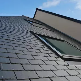 Bild von TURTLE ROOFING