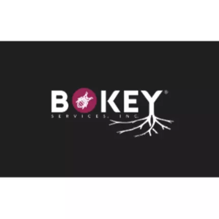 Logo von Bokey Services Inc