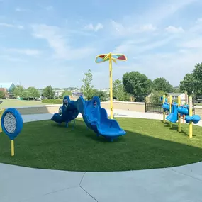 Playground Grass