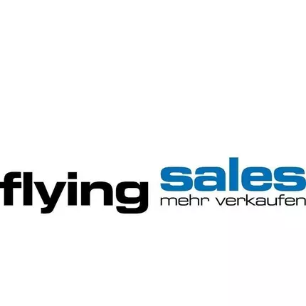 Logo von Online Marketing und SEO - Norman Irion - FlyingSales GmbH