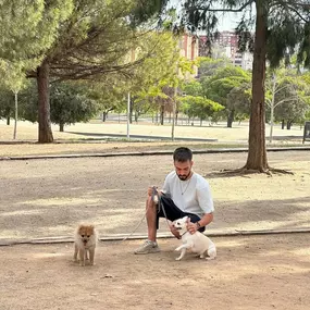 Bild von Noé Montoya Adiestramiento y Educación Canina Barcelona