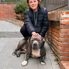 Bild von Noé Montoya Adiestramiento y Educación Canina Barcelona