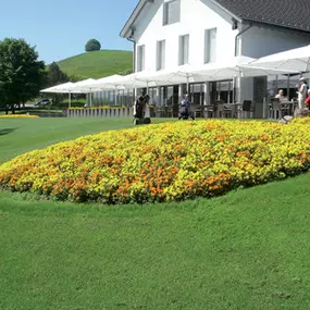 Bild von Blumen Bürgler Hirzel