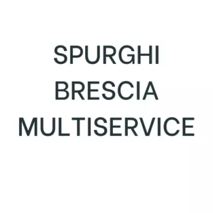 Λογότυπο από Spurghi Brescia Multiservice